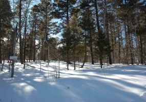 302 south vail overlook, angel fire, New Mexico 87718, ,Lots/land,For Sale,south vail overlook,104753