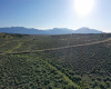 1 A Calle Feliberto, Taos, New Mexico 87529, ,Lots/land,For Sale,Calle Feliberto,108628