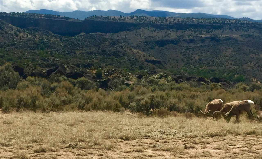 1 A Calle Feliberto, Taos, New Mexico 87529, ,Lots/land,For Sale,Calle Feliberto,108628