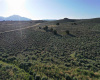 3 B Calle Feliberto, Taos, New Mexico 87529, ,Lots/land,For Sale,Calle Feliberto,108630 3 B Calle Feliberto, Taos, New Mexico 87529, ,Lots/land,For Sale,Calle Feliberto,108630