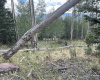 22 Skyview Way, Angel Fire, New Mexico 87710-9999, ,Lots/land,For Sale,Skyview Way,108915 22 Skyview Way, Angel Fire, New Mexico 87710-9999, ,Lots/land,For Sale,Skyview Way,108915