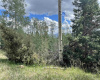 22 Skyview Way, Angel Fire, New Mexico 87710-9999, ,Lots/land,For Sale,Skyview Way,108915 22 Skyview Way, Angel Fire, New Mexico 87710-9999, ,Lots/land,For Sale,Skyview Way,108915