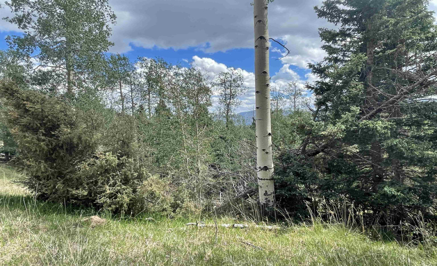 22 Skyview Way, Angel Fire, New Mexico 87710-9999, ,Lots/land,For Sale,Skyview Way,108915 22 Skyview Way, Angel Fire, New Mexico 87710-9999, ,Lots/land,For Sale,Skyview Way,108915