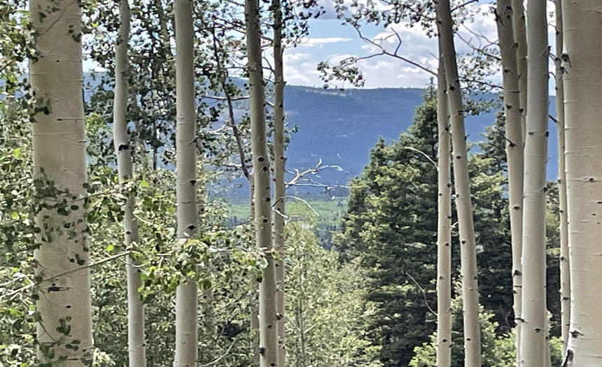 22 Skyview Way, Angel Fire, New Mexico 87710-9999, ,Lots/land,For Sale,Skyview Way,108915 22 Skyview Way, Angel Fire, New Mexico 87710-9999, ,Lots/land,For Sale,Skyview Way,108915