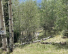 22 Skyview Way, Angel Fire, New Mexico 87710-9999, ,Lots/land,For Sale,Skyview Way,108915 22 Skyview Way, Angel Fire, New Mexico 87710-9999, ,Lots/land,For Sale,Skyview Way,108915