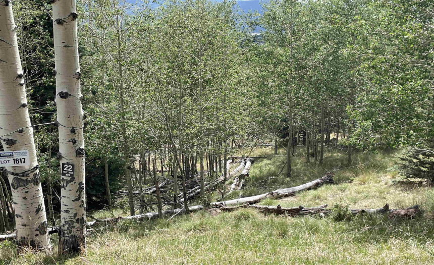 22 Skyview Way, Angel Fire, New Mexico 87710-9999, ,Lots/land,For Sale,Skyview Way,108915 22 Skyview Way, Angel Fire, New Mexico 87710-9999, ,Lots/land,For Sale,Skyview Way,108915