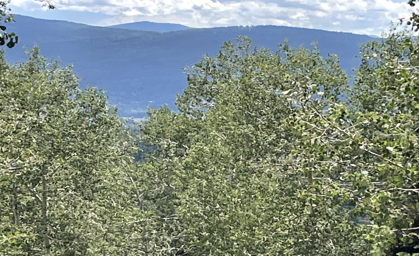 22 Skyview Way, Angel Fire, New Mexico 87710-9999, ,Lots/land,For Sale,Skyview Way,108915 22 Skyview Way, Angel Fire, New Mexico 87710-9999, ,Lots/land,For Sale,Skyview Way,108915