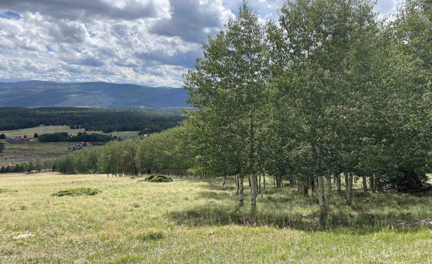 22 Skyview Way, Angel Fire, New Mexico 87710-9999, ,Lots/land,For Sale,Skyview Way,108915 22 Skyview Way, Angel Fire, New Mexico 87710-9999, ,Lots/land,For Sale,Skyview Way,108915