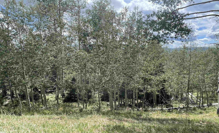 22 Skyview Way, Angel Fire, New Mexico 87710-9999, ,Lots/land,For Sale,Skyview Way,108915 22 Skyview Way, Angel Fire, New Mexico 87710-9999, ,Lots/land,For Sale,Skyview Way,108915