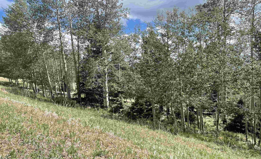 22 Skyview Way, Angel Fire, New Mexico 87710-9999, ,Lots/land,For Sale,Skyview Way,108915 22 Skyview Way, Angel Fire, New Mexico 87710-9999, ,Lots/land,For Sale,Skyview Way,108915