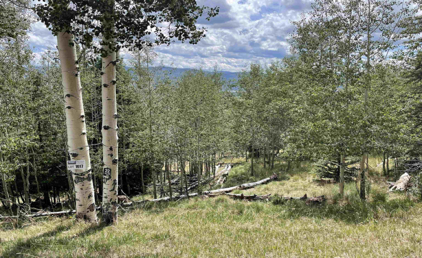 22 Skyview Way, Angel Fire, New Mexico 87710-9999, ,Lots/land,For Sale,Skyview Way,108915 22 Skyview Way, Angel Fire, New Mexico 87710-9999, ,Lots/land,For Sale,Skyview Way,108915