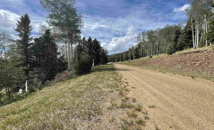 22 Skyview Way, Angel Fire, New Mexico 87710-9999, ,Lots/land,For Sale,Skyview Way,108915 22 Skyview Way, Angel Fire, New Mexico 87710-9999, ,Lots/land,For Sale,Skyview Way,108915