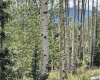22 Skyview Way, Angel Fire, New Mexico 87710-9999, ,Lots/land,For Sale,Skyview Way,108915 22 Skyview Way, Angel Fire, New Mexico 87710-9999, ,Lots/land,For Sale,Skyview Way,108915