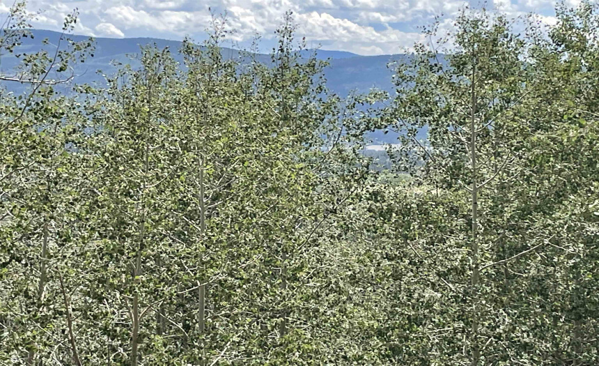 22 Skyview Way, Angel Fire, New Mexico 87710-9999, ,Lots/land,For Sale,Skyview Way,108915 22 Skyview Way, Angel Fire, New Mexico 87710-9999, ,Lots/land,For Sale,Skyview Way,108915