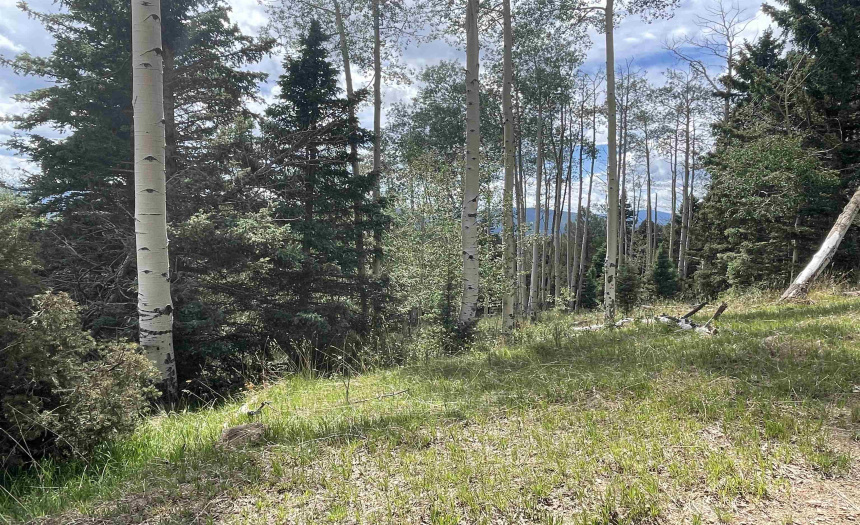 22 Skyview Way, Angel Fire, New Mexico 87710-9999, ,Lots/land,For Sale,Skyview Way,108915 22 Skyview Way, Angel Fire, New Mexico 87710-9999, ,Lots/land,For Sale,Skyview Way,108915