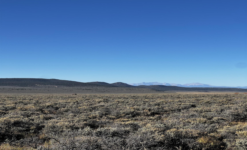 Unit 1 Lot 17 Costilla Meadows, Amalia, New Mexico 87512, ,Lots/land,For Sale,Costilla Meadows,109559