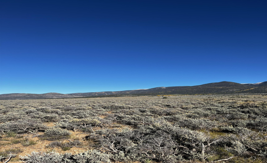 Unit 1 Lot 17 Costilla Meadows, Amalia, New Mexico 87512, ,Lots/land,For Sale,Costilla Meadows,109559