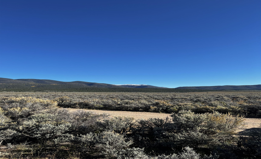 Unit 1 Lot 17 Costilla Meadows, Amalia, New Mexico 87512, ,Lots/land,For Sale,Costilla Meadows,109559