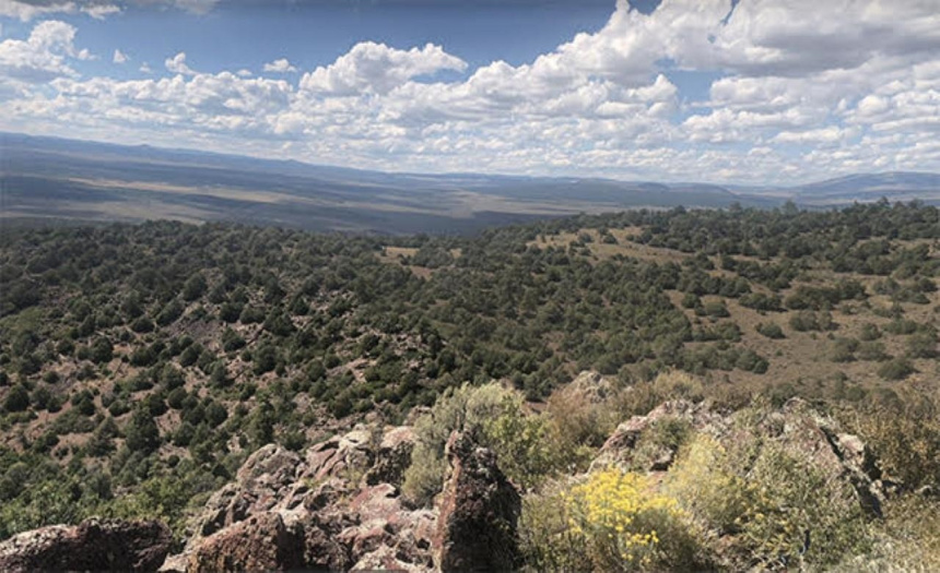 TBD off calle lovato, El Prado, New Mexico 87529, ,Lots/land,For Sale,off calle lovato,109607