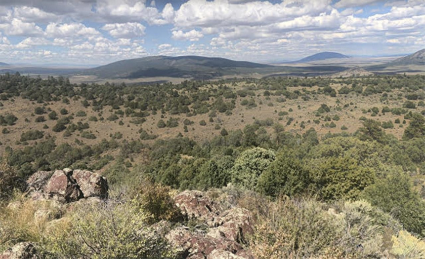 TBD off calle lovato, El Prado, New Mexico 87529, ,Lots/land,For Sale,off calle lovato,109607