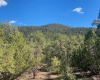 0 La Semilla, Taos, New Mexico 87571, ,Lots/land,For Sale,La Semilla,110870
