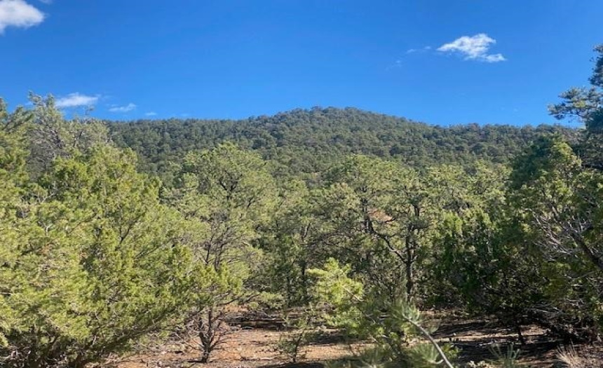0 La Semilla, Taos, New Mexico 87571, ,Lots/land,For Sale,La Semilla,110870
