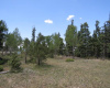 TBD Beaver Loop Lot 140, Angel Fire, New Mexico 87710, ,Lots/land,For Sale,Beaver Loop Lot 140,111017