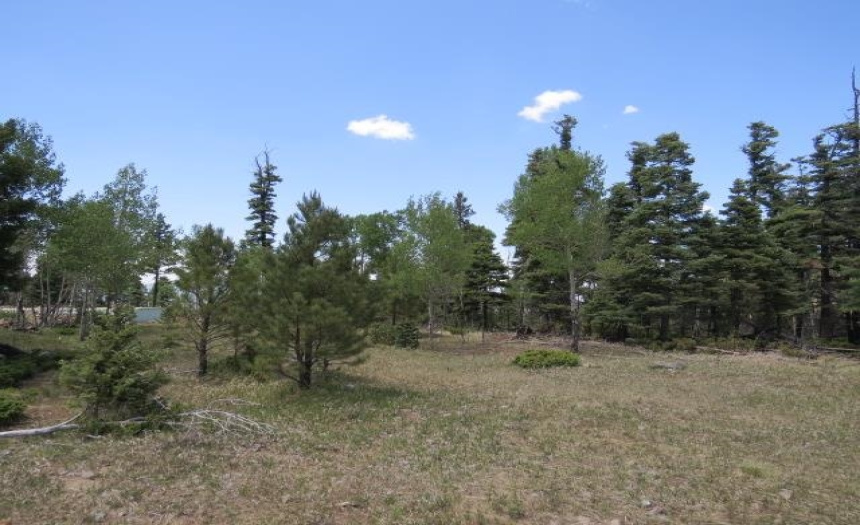 TBD Beaver Loop Lot 140, Angel Fire, New Mexico 87710, ,Lots/land,For Sale,Beaver Loop Lot 140,111017