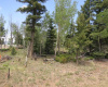 TBD Beaver Loop Lot 140, Angel Fire, New Mexico 87710, ,Lots/land,For Sale,Beaver Loop Lot 140,111017