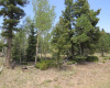 TBD Beaver Loop Lot 140, Angel Fire, New Mexico 87710, ,Lots/land,For Sale,Beaver Loop Lot 140,111017