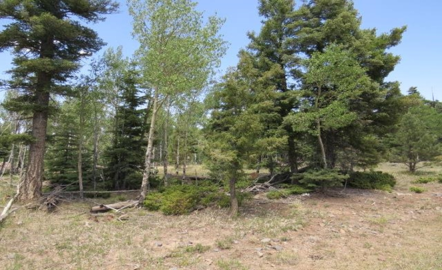 TBD Beaver Loop Lot 140, Angel Fire, New Mexico 87710, ,Lots/land,For Sale,Beaver Loop Lot 140,111017