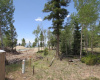TBD Beaver Loop Lot 140, Angel Fire, New Mexico 87710, ,Lots/land,For Sale,Beaver Loop Lot 140,111017