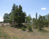 TBD Beaver Loop Lot 140, Angel Fire, New Mexico 87710, ,Lots/land,For Sale,Beaver Loop Lot 140,111017