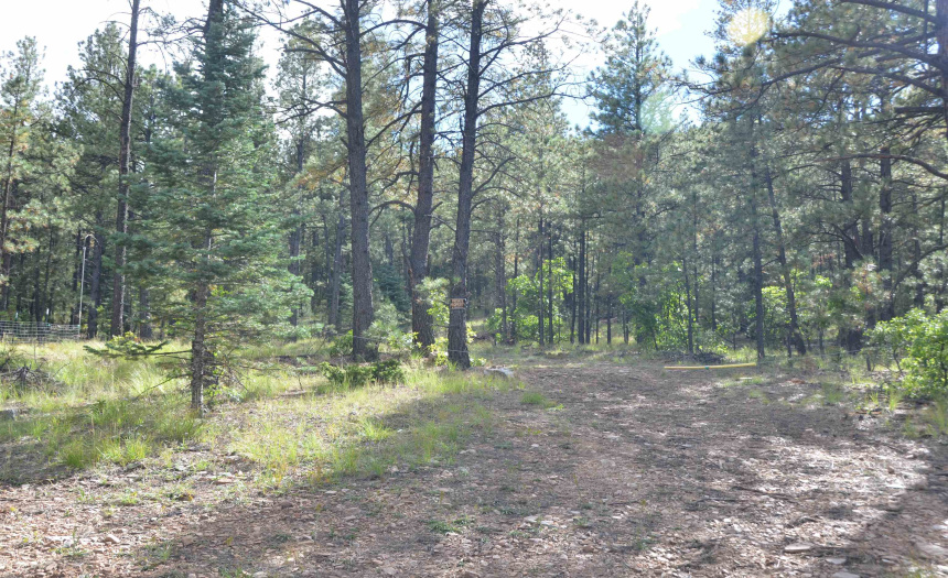 Lots 4 and 5 Vuelta Vista Grande, Guadalupita, New Mexico 87722, ,Lots/land,For Sale,Vuelta Vista Grande,111048