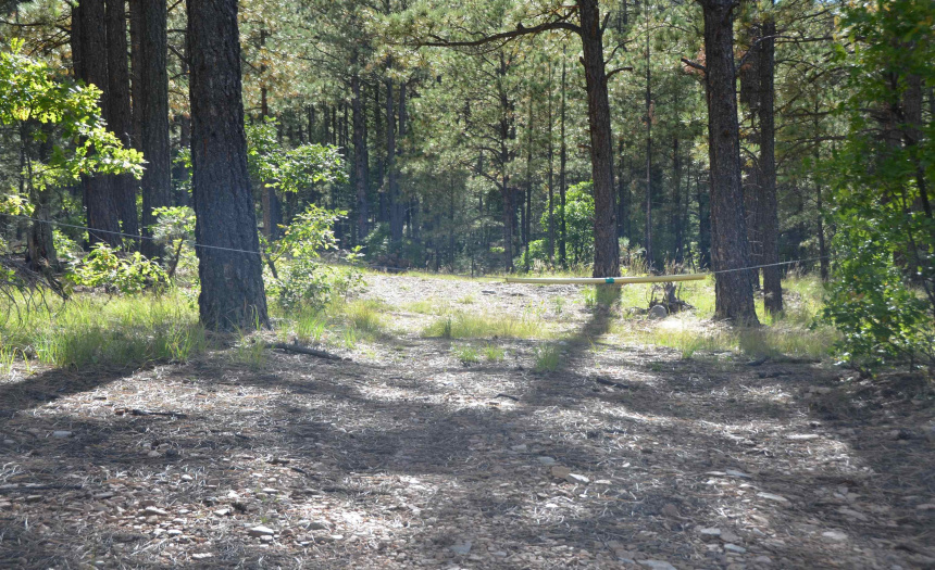 Lots 4 and 5 Vuelta Vista Grande, Guadalupita, New Mexico 87722, ,Lots/land,For Sale,Vuelta Vista Grande,111048