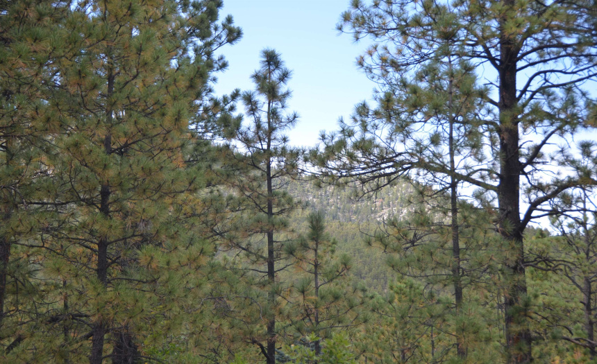 Lots 4 and 5 Vuelta Vista Grande, Guadalupita, New Mexico 87722, ,Lots/land,For Sale,Vuelta Vista Grande,111048