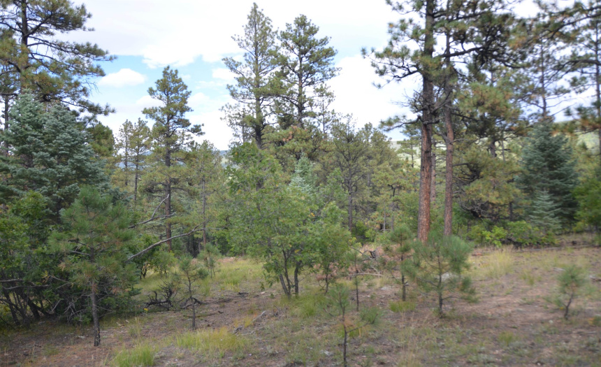 Lots 4 and 5 Vuelta Vista Grande, Guadalupita, New Mexico 87722, ,Lots/land,For Sale,Vuelta Vista Grande,111048